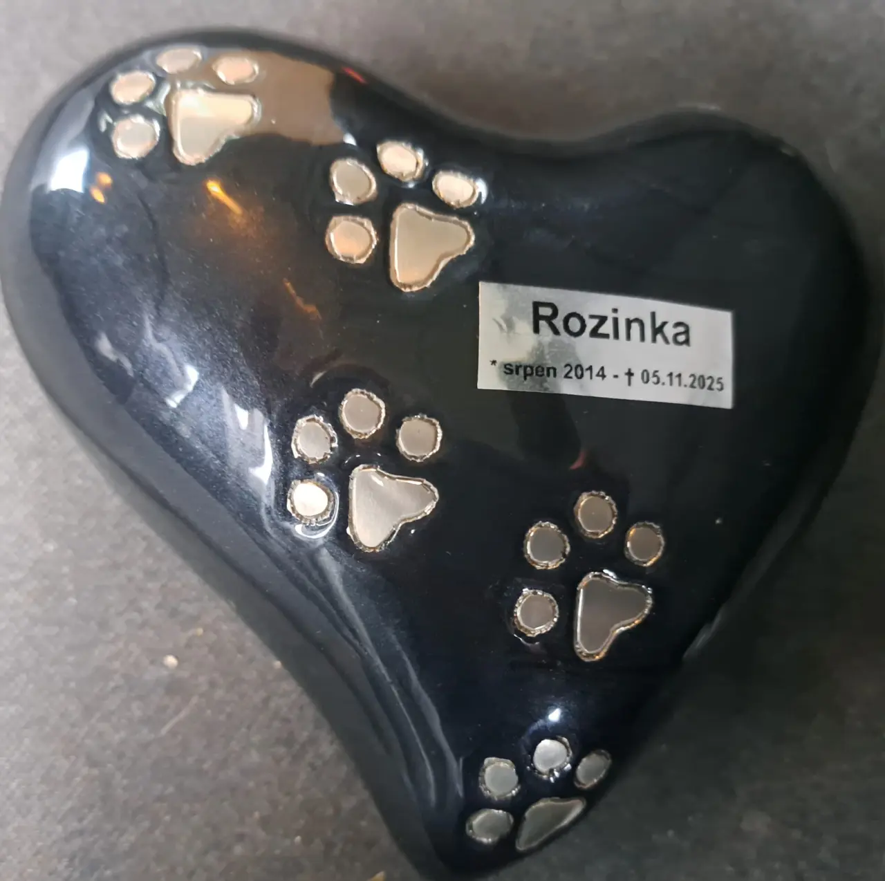 Úžasná Rozinka, která celý život pomáhala, nyní sama potřebuje pomoc