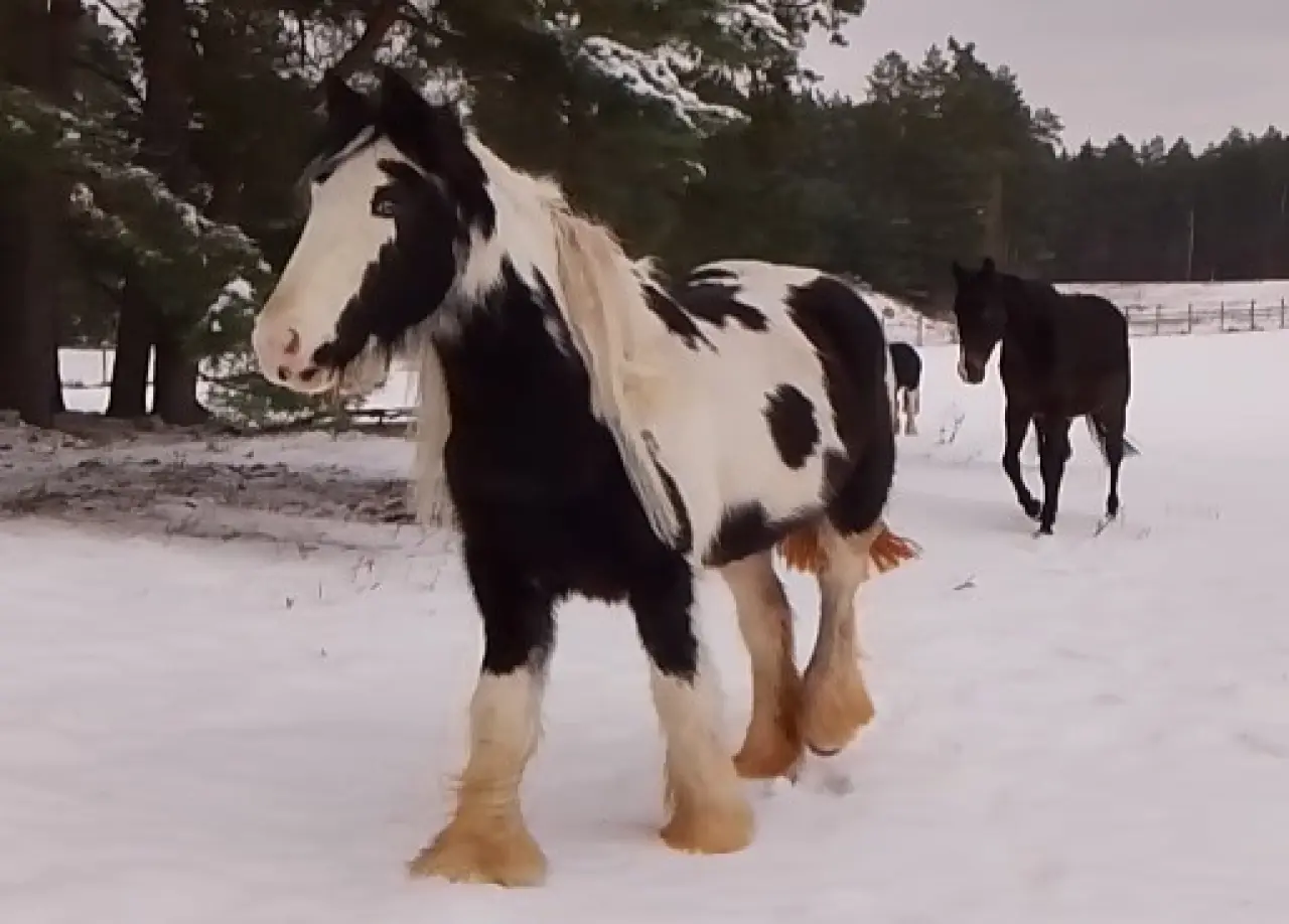 Tami ❤️ a její léčba, která nebere konce