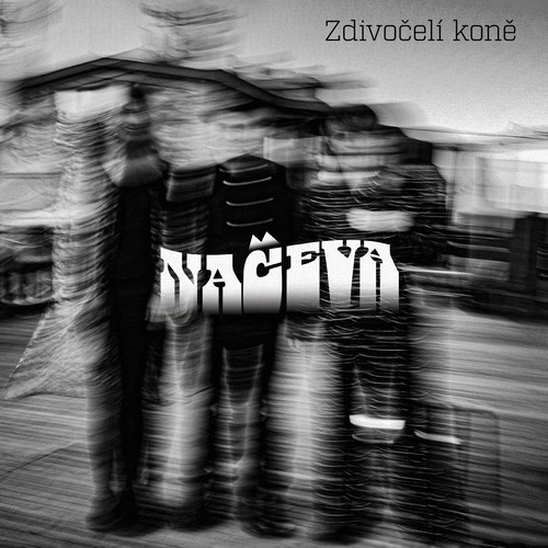Podpořme společně Moniku Načevu a její album Zdivočelí koně #kulturažije
