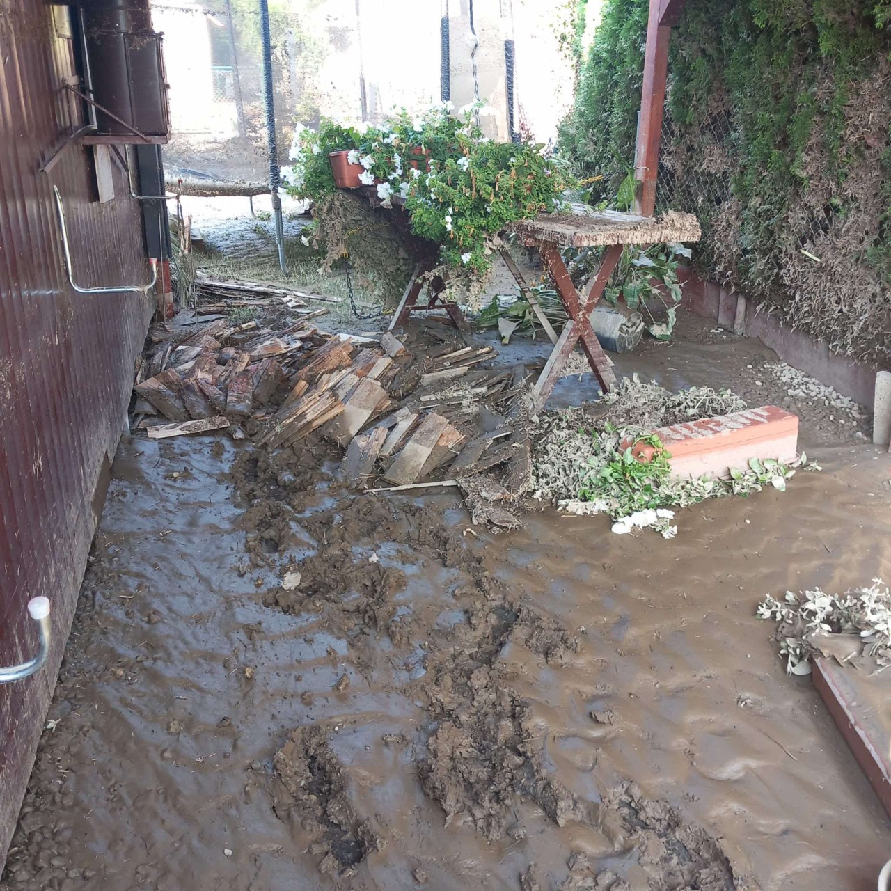 Pomohli jste rodině, která přišla o všechno