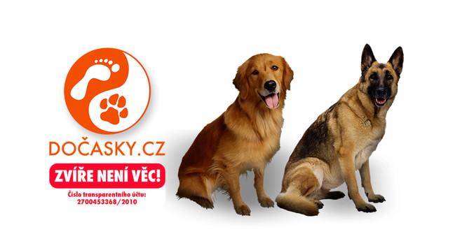 Složili jste se na psí kotce pro Moravu