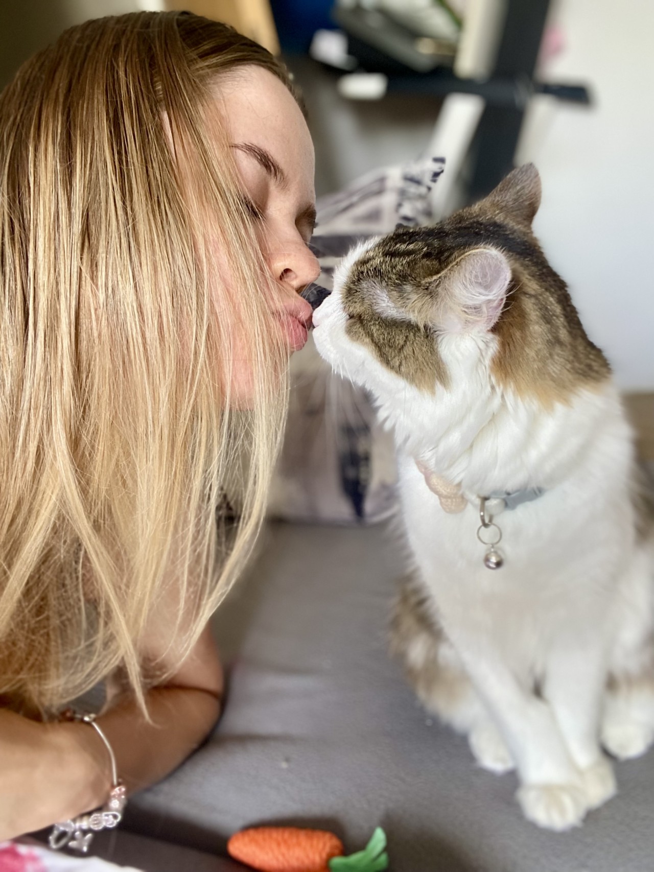 Sbírka pro kočičku Bonnie, člena naší rodiny♥️🐈