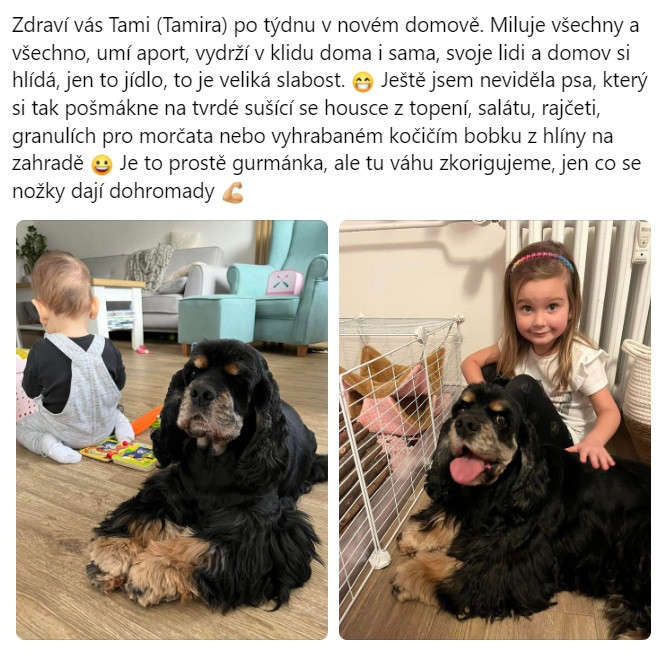 Pomohli jste Tamirce k bezbolestnému pohybu