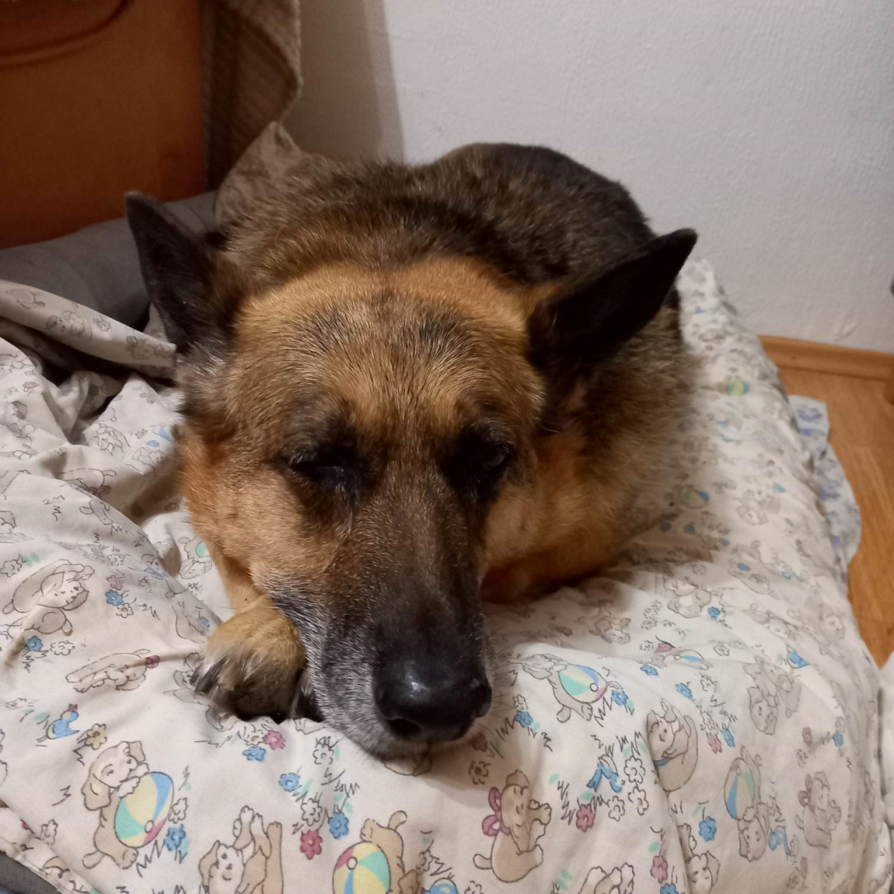 Dorince na boj s nádorem
