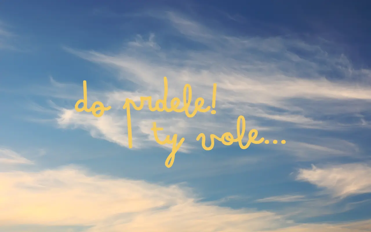 Pomozte nám natočit studentský film „Do prdele! Ty vole...“