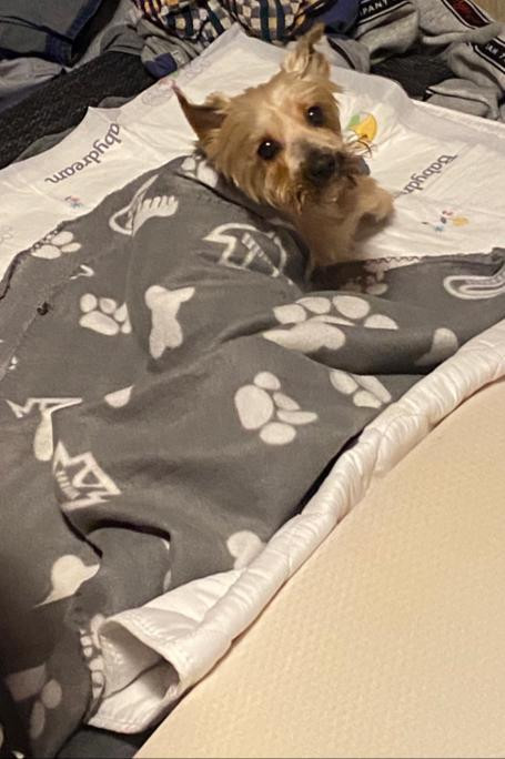 Pomoc pro nemocného Maxe