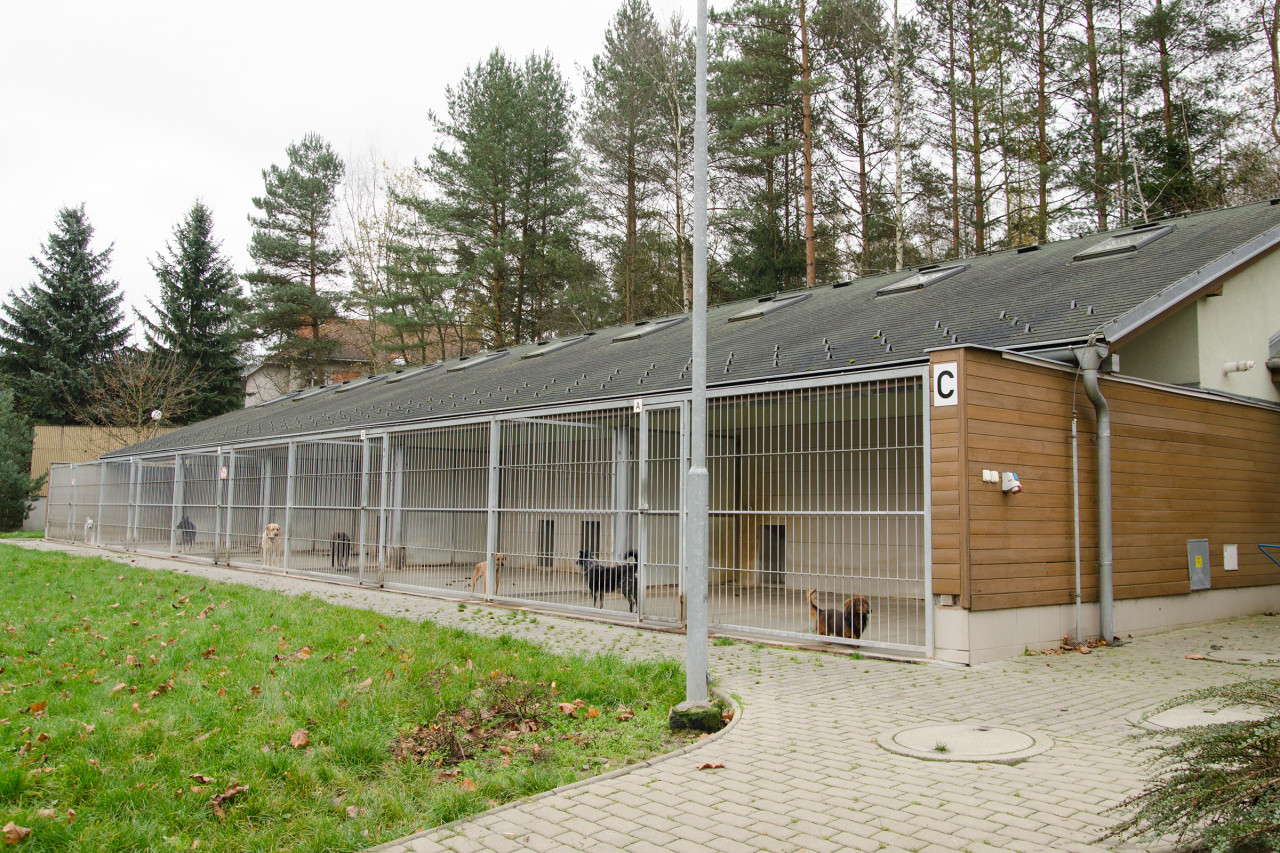 Zlínský útulek potřeboval peníze na opravu zařízení