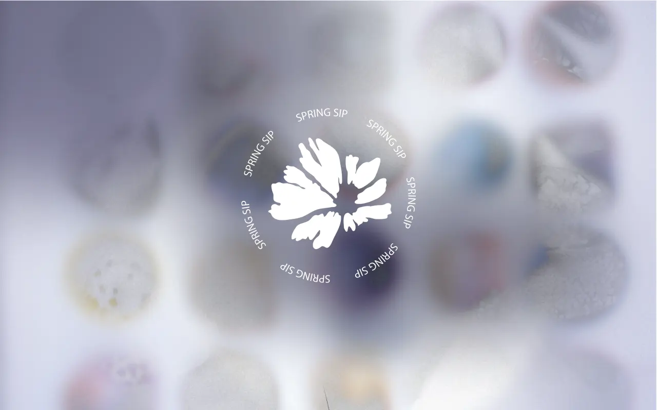 Podpořte projekt - Spring sip
