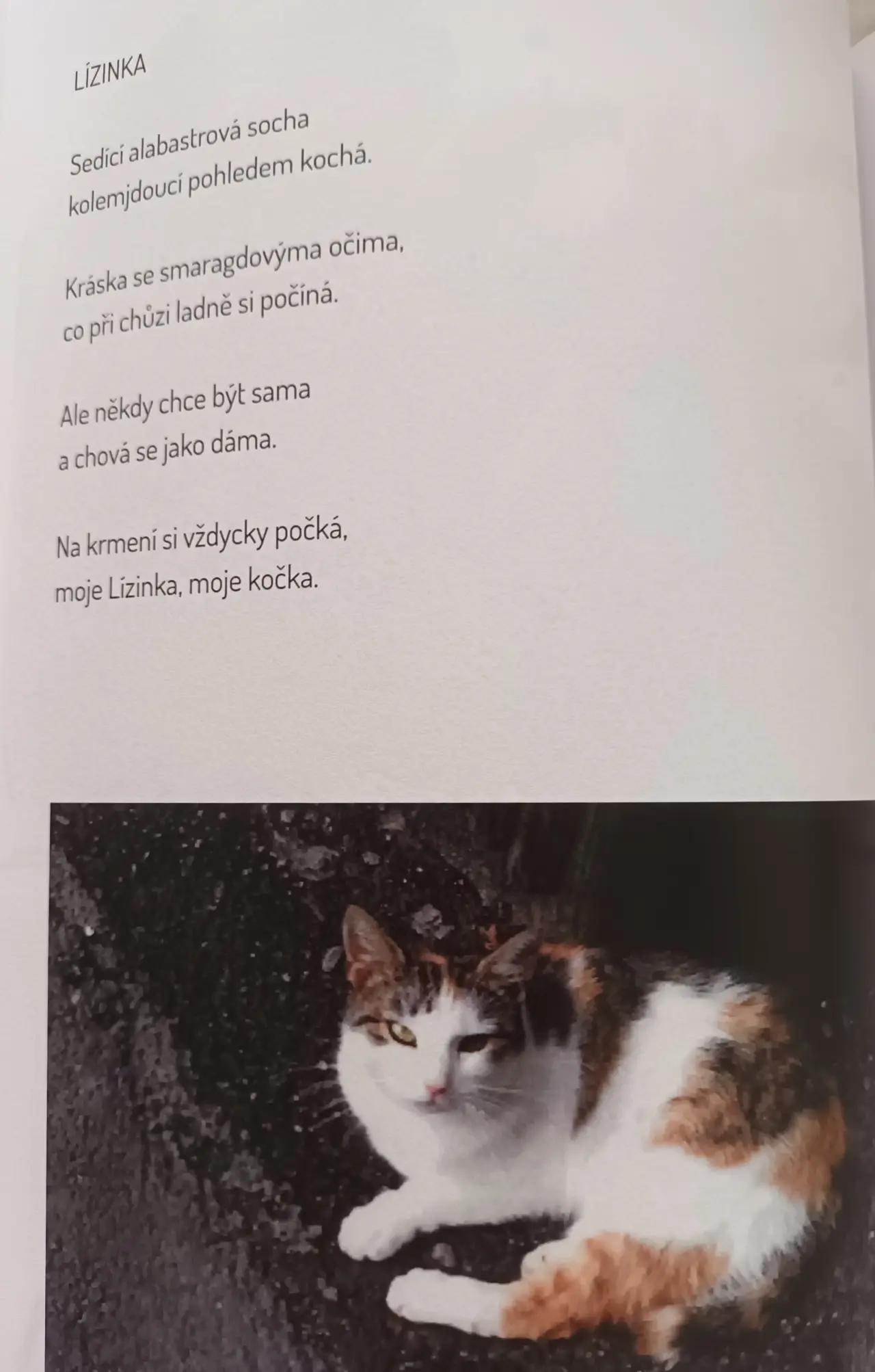 Pomozme handicapované umělkyni