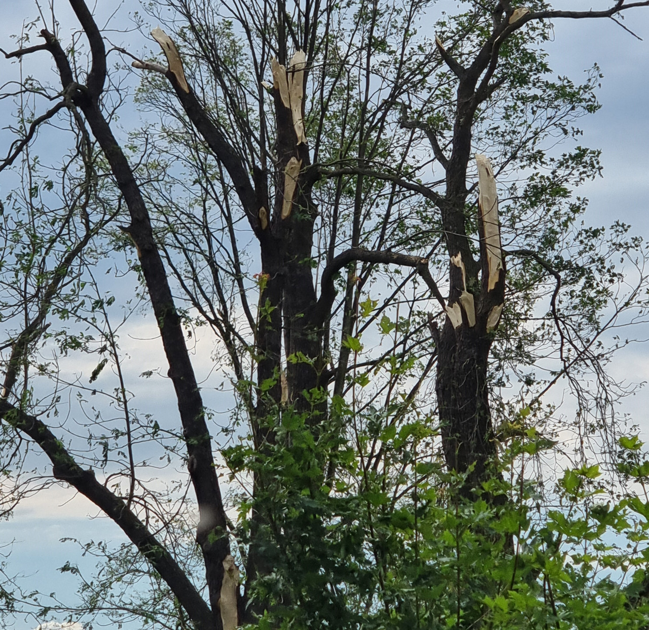 Pro Stebno a okolní obce, které zasáhl downburst