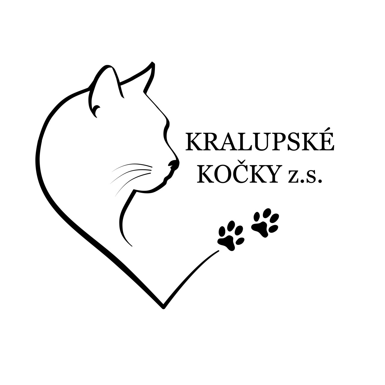 Složili jste se na kastraci a veterinární péči pro 20 opuštěných koťat z Kralup a okolí