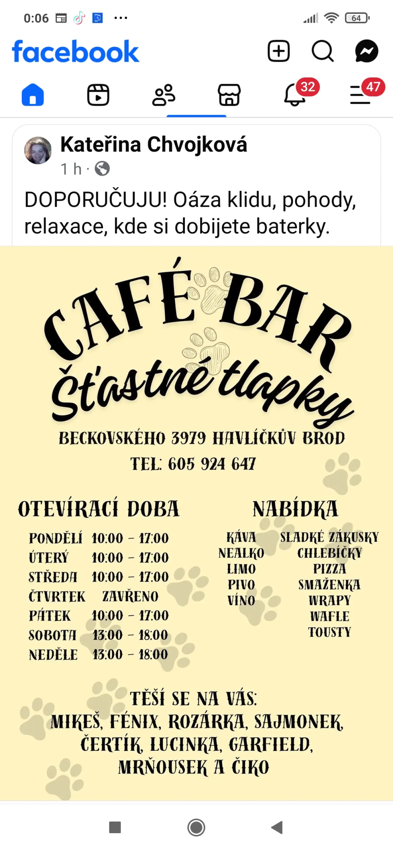 Pojďme dát kočičkám druhou šanci, obnovme kočičí kavárnu café & bar Šťastné tlapky