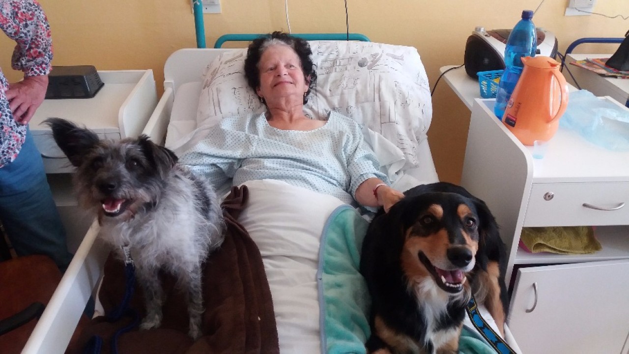 Canisterapie CANTES v krajích ČR jako sociální rehabilitace