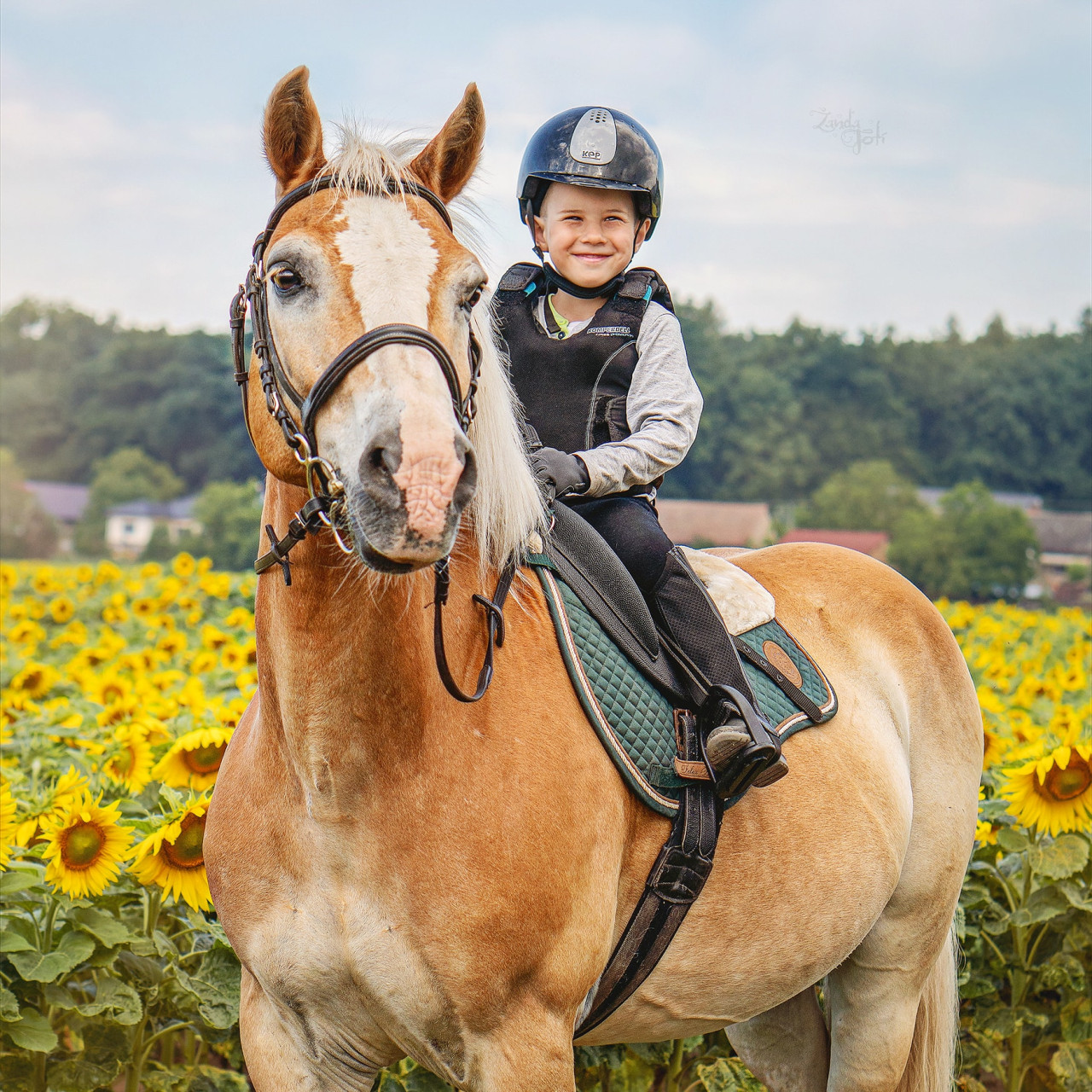 Equestriam - ježdění pro každého