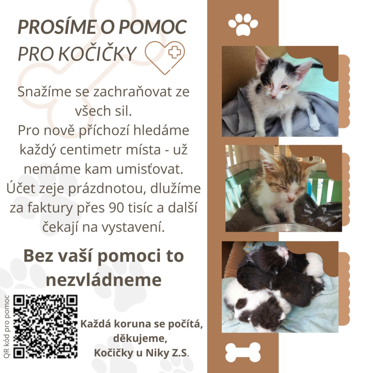 Pomohli jste s úhradou veterinárních faktur a karanténní boxy pro Kočičky u Niky z.s.