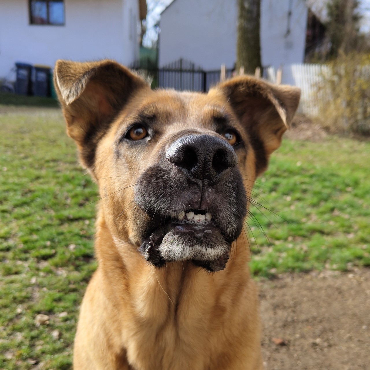 Lokiho šance na pohyb bez bolesti