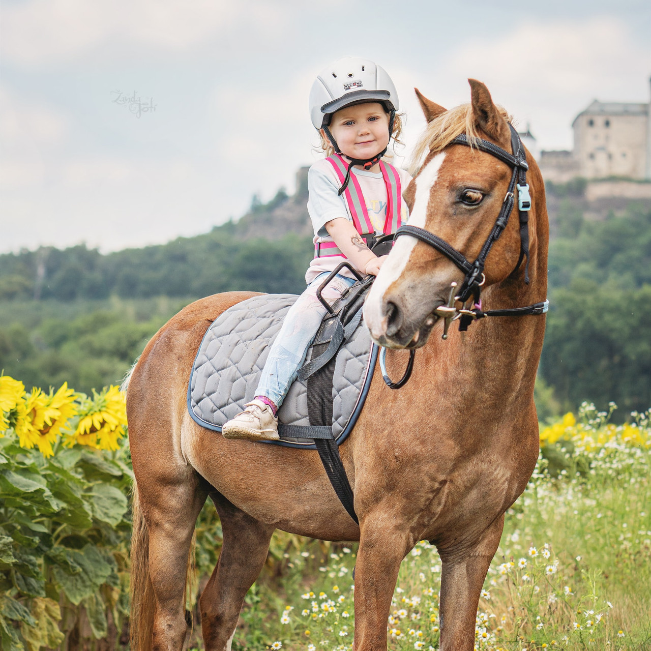 Equestriam - ježdění pro každého