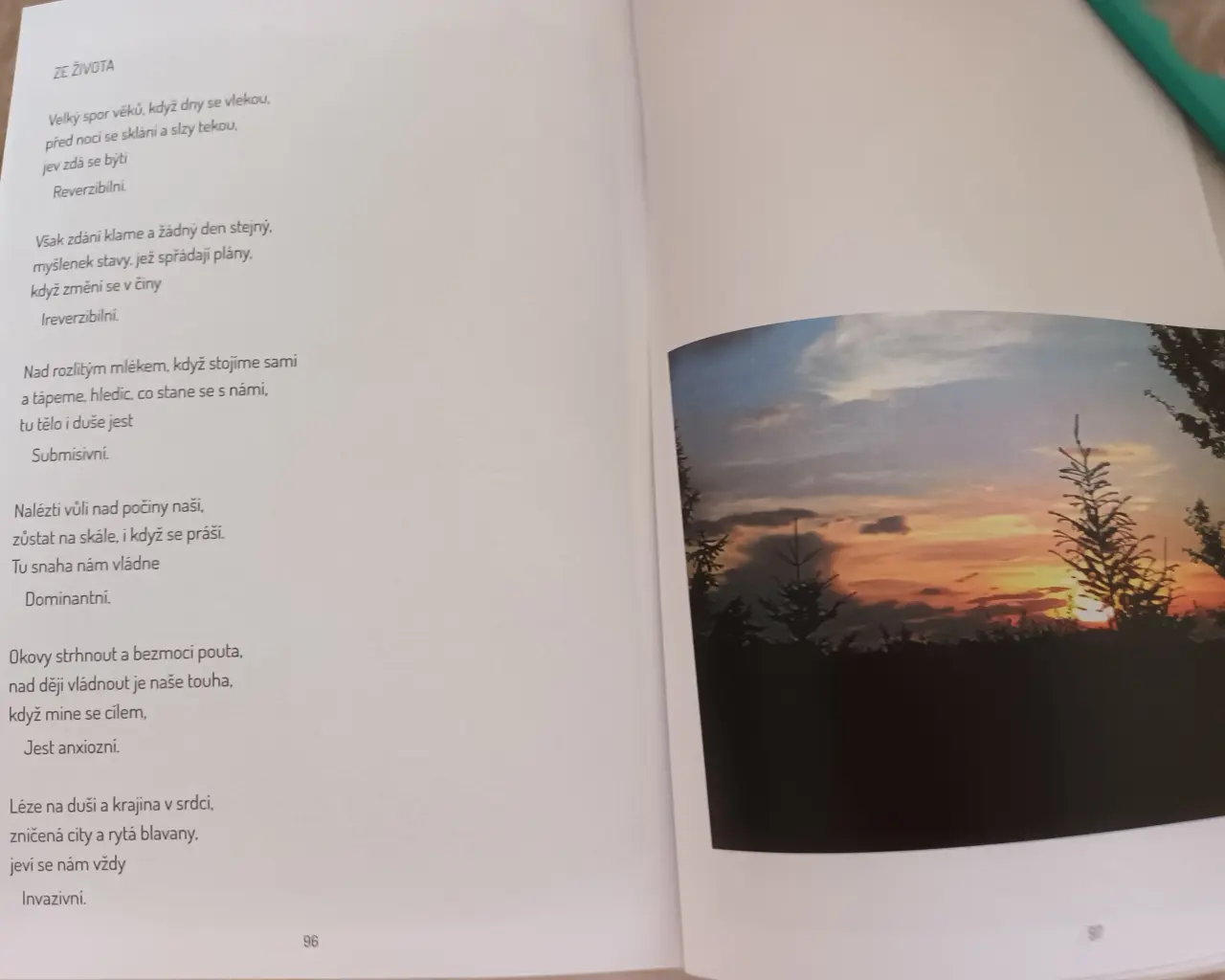 Pomozme handicapované umělkyni