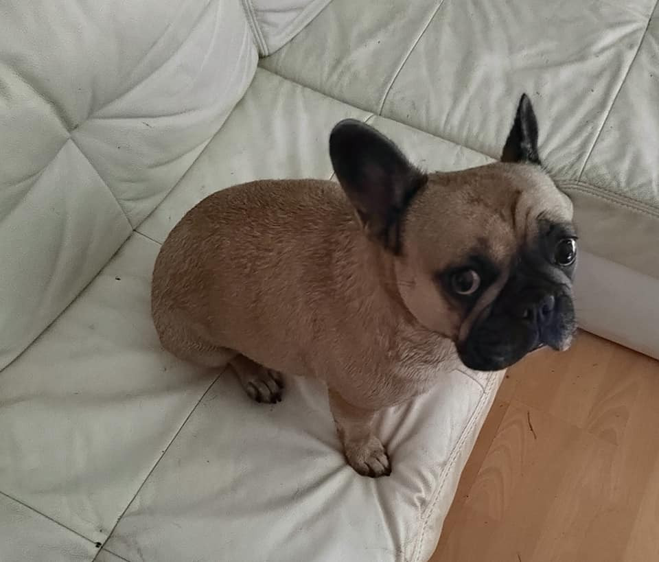 Pomoc pro Amy - operace a léčba vyhřezlé plotýnky