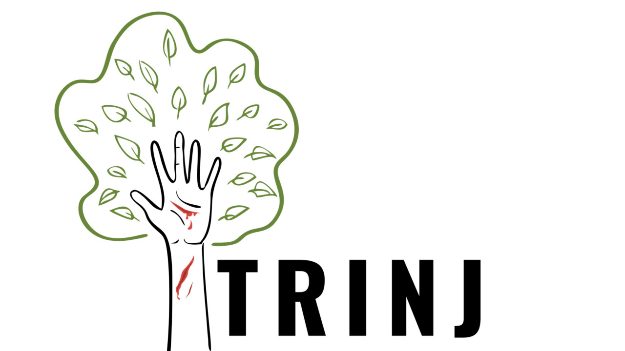 TRINJ - online platforma pro sběr a analýzu dat o zraněních stromolezců