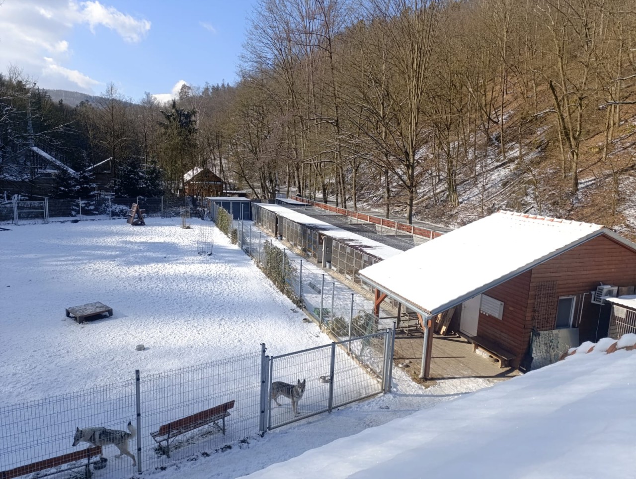 Pomohli jste obnovit Záchranné stanice