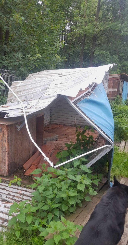 Pomohli jste přispět na opravu poničeného areálu psího útulku