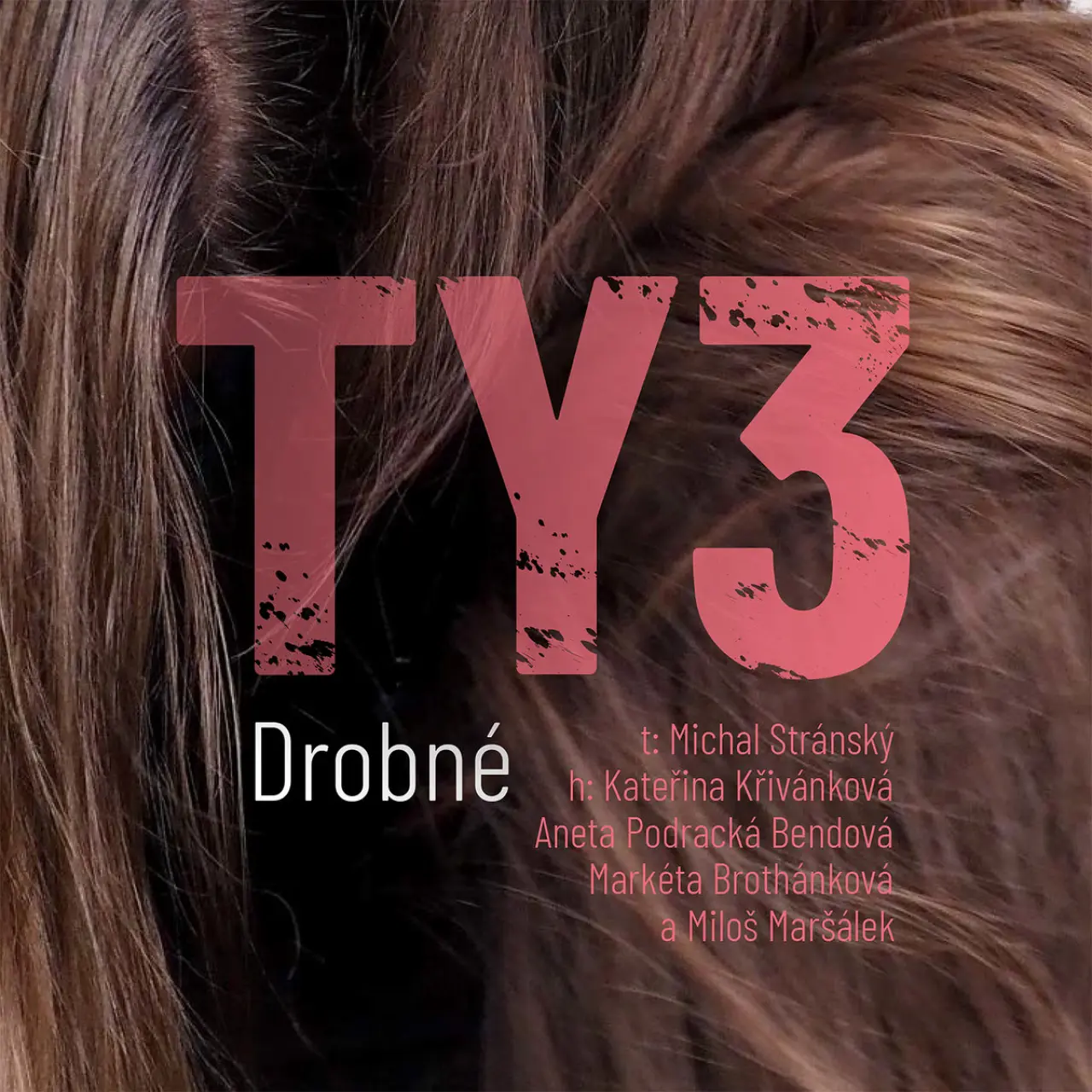 Podpořte vydání hudebního minialba TY3 a Michal Stránský: Drobné