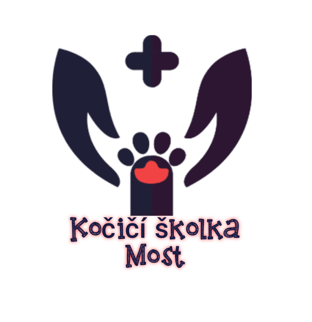 Zachraňme kočičky v severních Čechách
