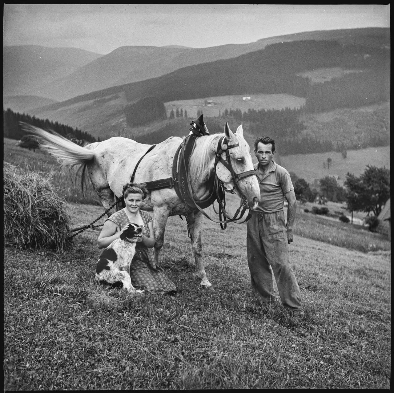 Pomohli jste vydat knihu Negativy z popelnice 1945–1968