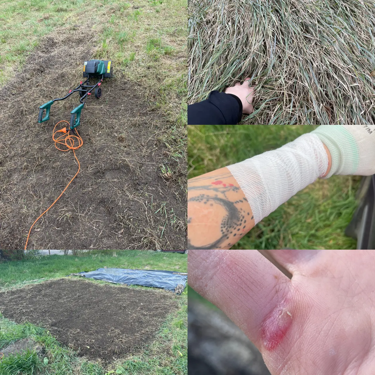 Podpořte bylinkový projekt Azeret Herbs