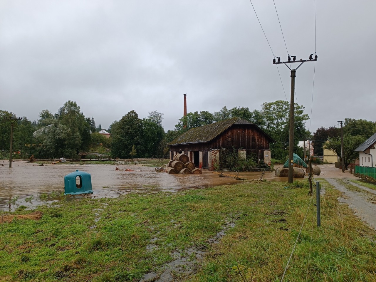 Přispěli jste na seno pro koně