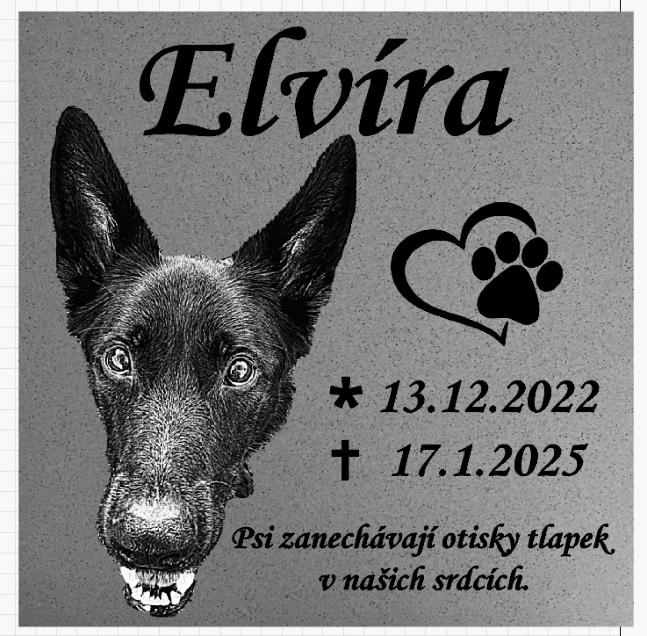 Dali jste naději Elvírce ❤️