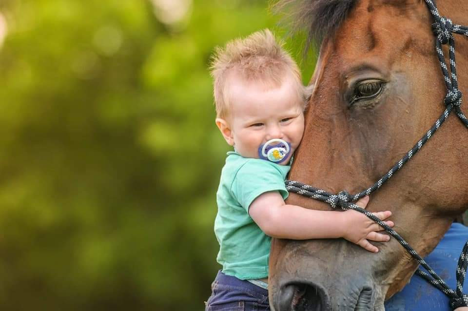 Equestriam - ježdění pro každého