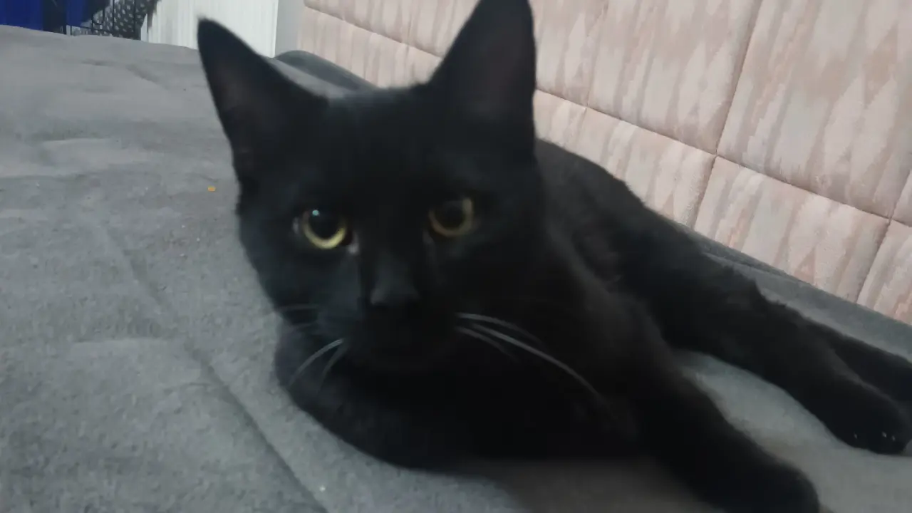 Pomohli jste Bobíčkovi k lepšímu životu
