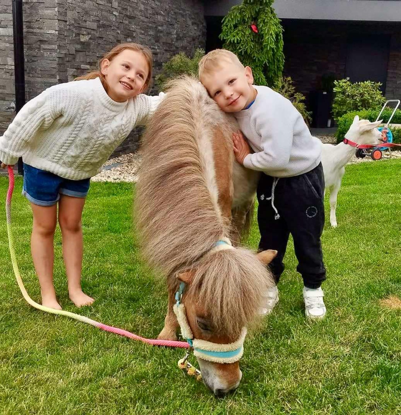 Pomohli jste zvířatům pomáhat