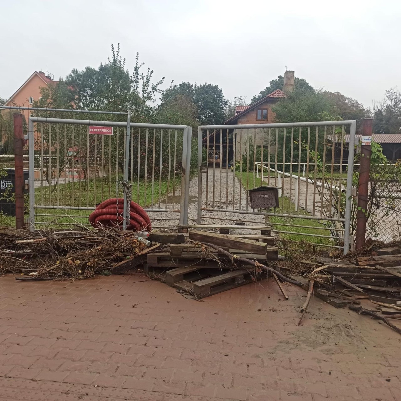 Pomozme koním ze zatopené stáje Chorpos
