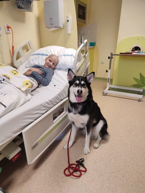 Pomohli jste Honzíkovi překonat trnitou kvůli zákeřné nemoci