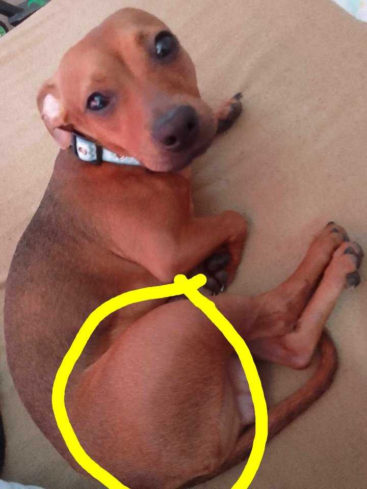 Operace Pro Artyho Stehenní Kosti