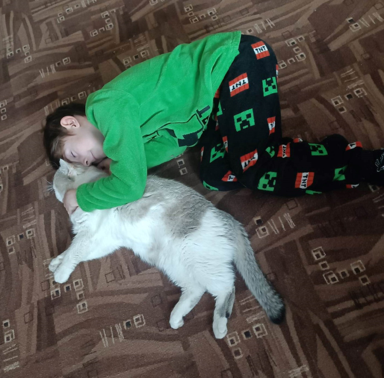 Léčba kocourka Loriho