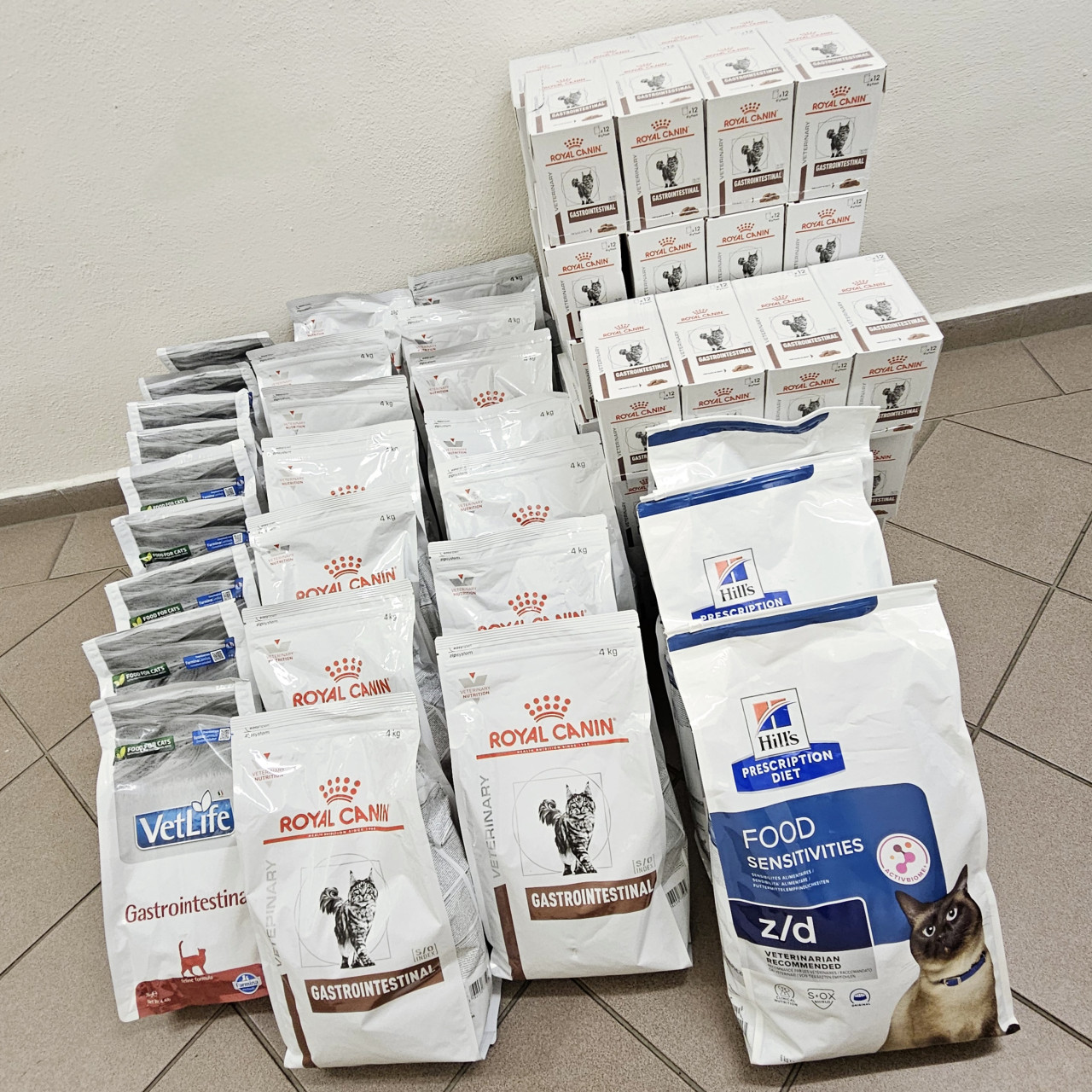 Složili jste se na krmivo pro nemocné kočičky