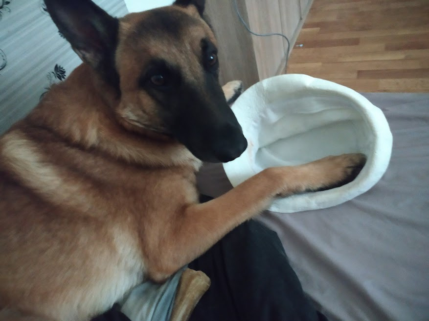 Pomozte pejskovi Badymu najít zpět radost ze života!