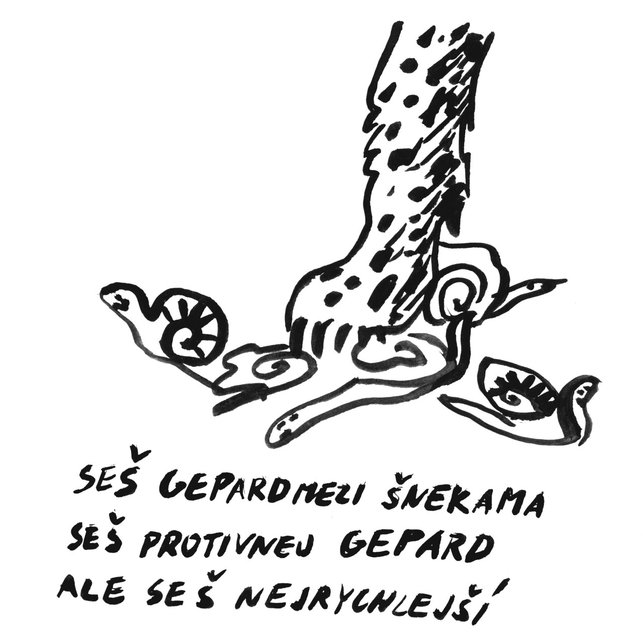 kniha NEJ
