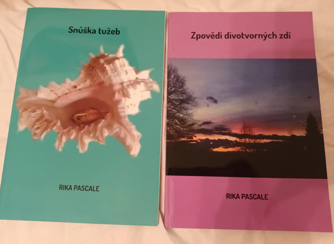 Pomozme handicapované umělkyni