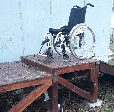 Pomozte nám sehnat nového koně pro hiporehabilitaci