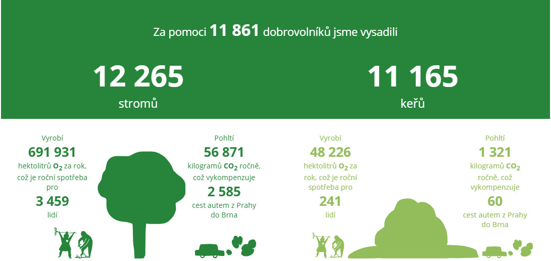 Sázíme stromy: Pomozte nám sázet i keře