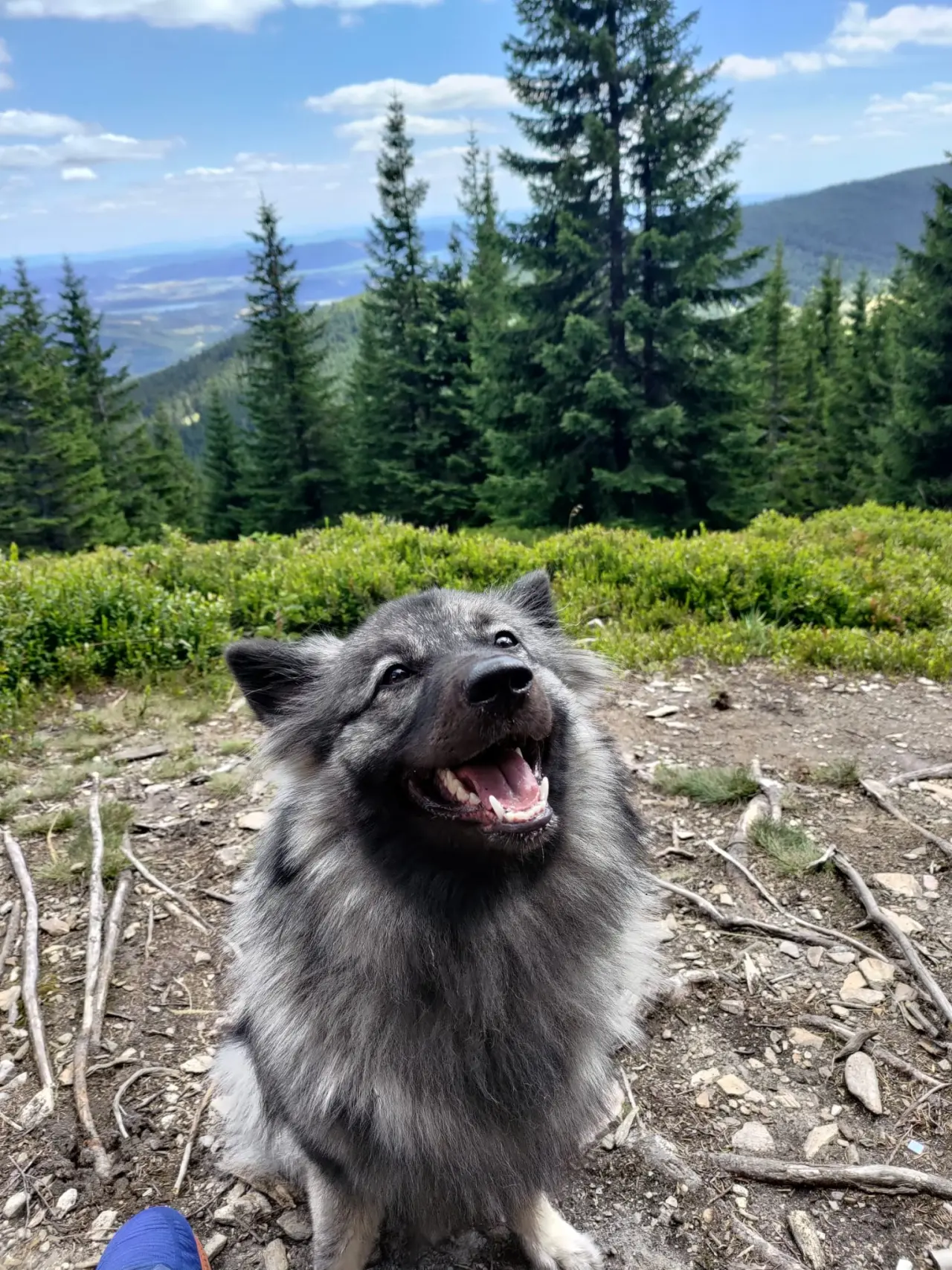Skok pro dlouhý život Jadzi 🐺
