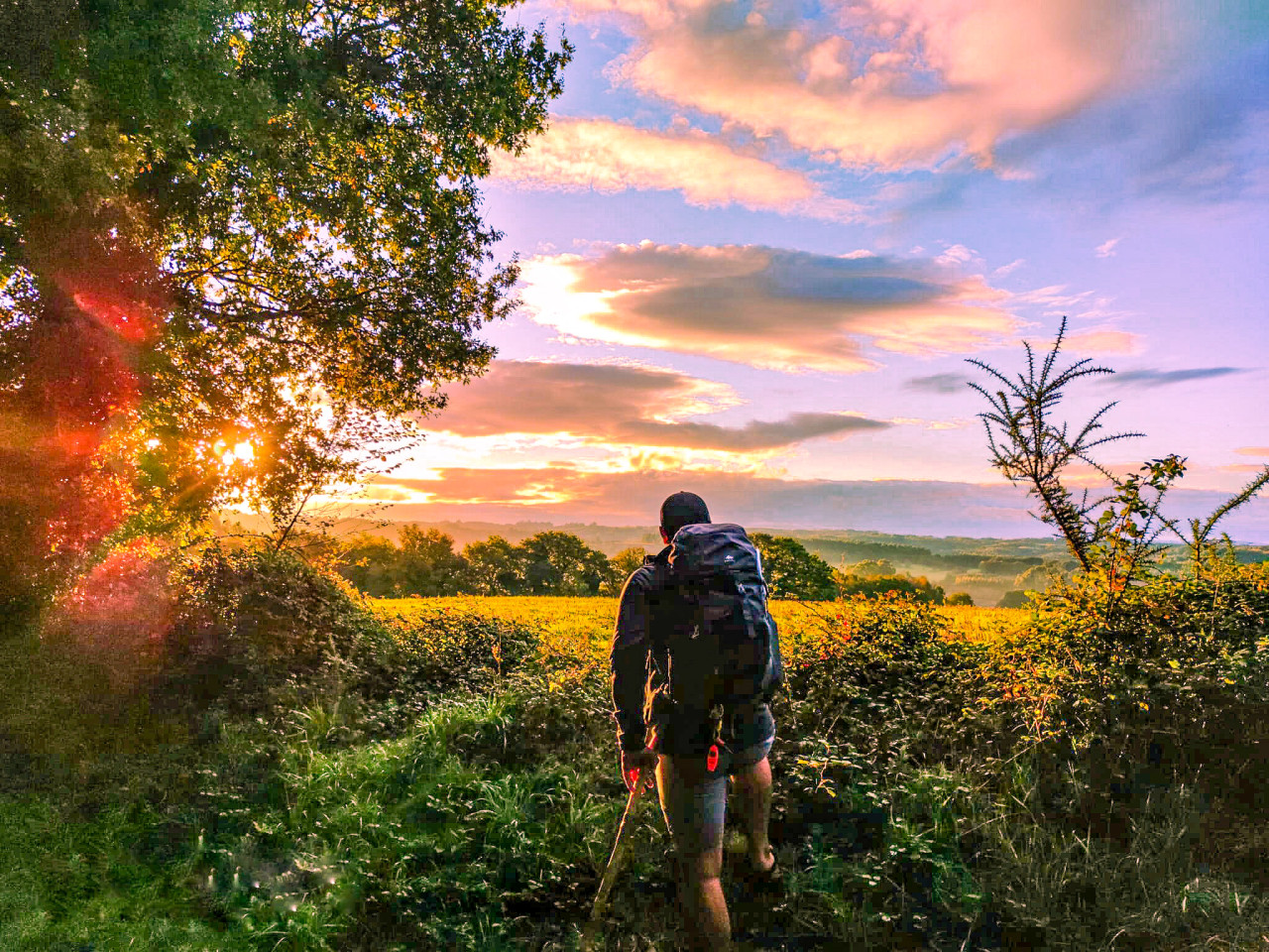 Kniha: Camino De Santiago - 33 dnů, 910 km v žabkách a desítky příběhu + bonus