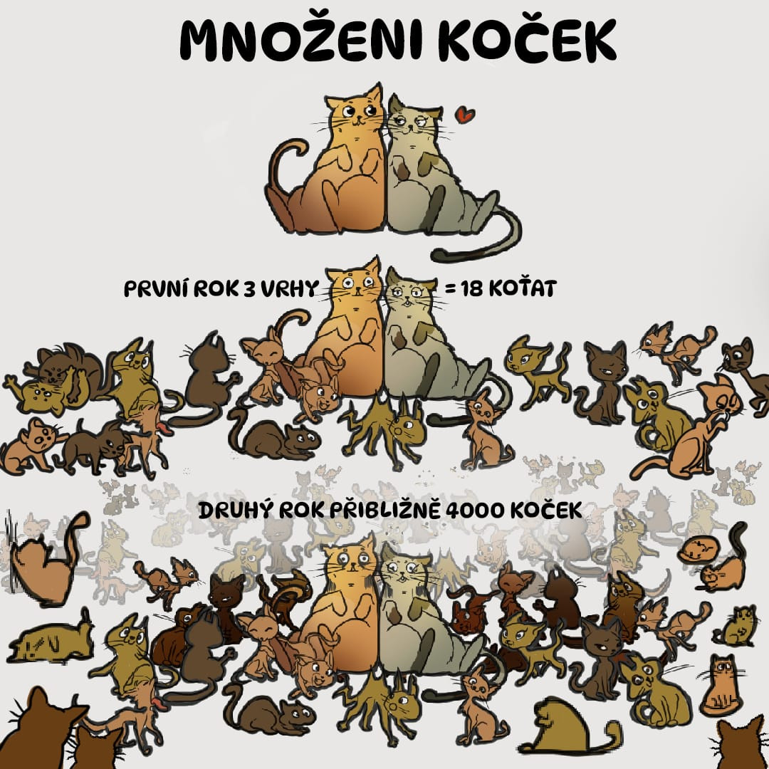 Zachránili jste milion koťat