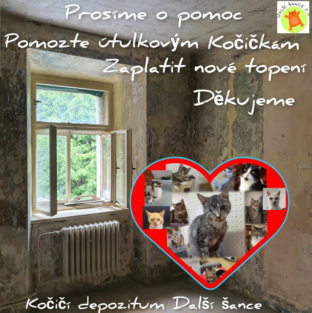 Pomohli jste S.O.S. útulkovým kočičkám