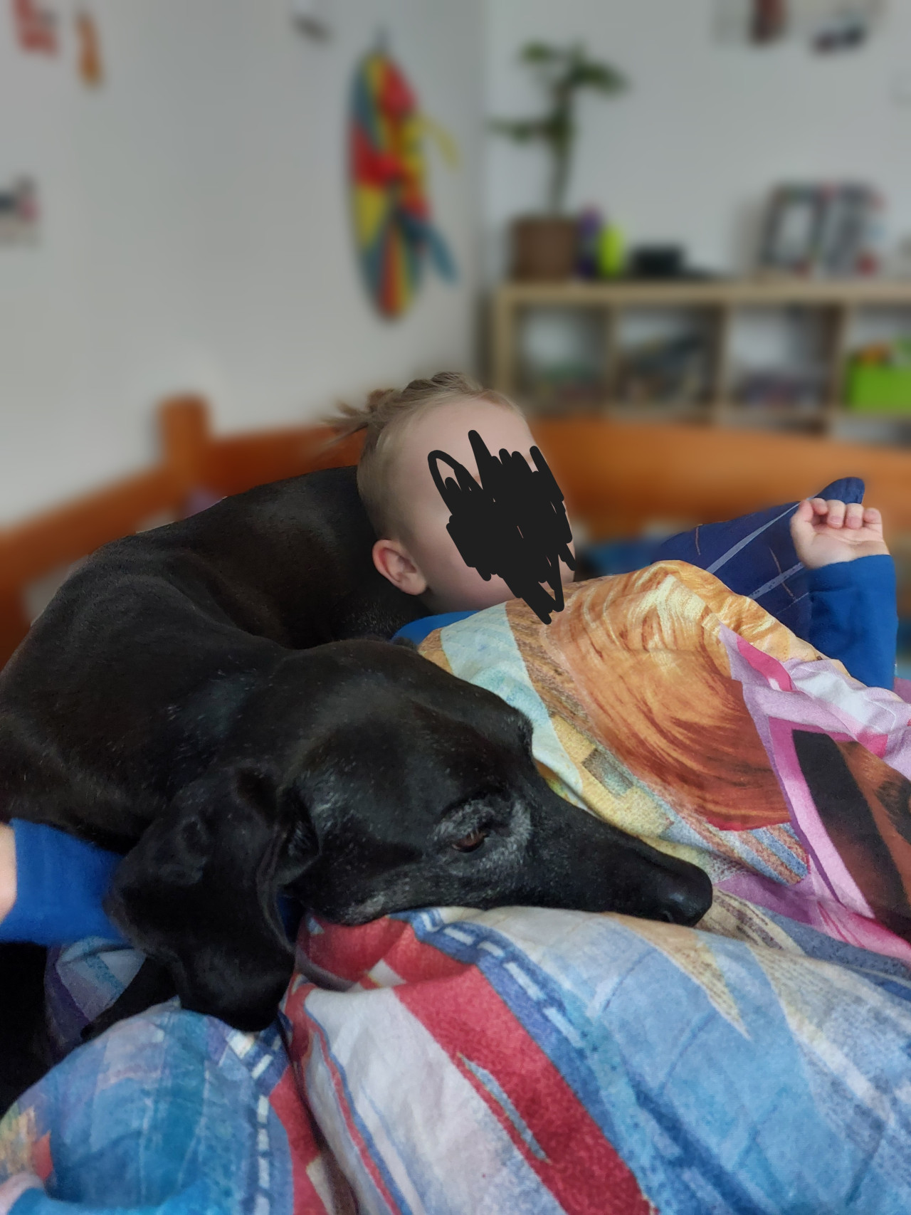 Pomoc pro Izzynku